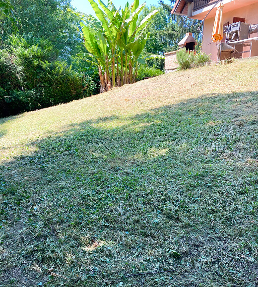 Jardinier paysagiste à Nice